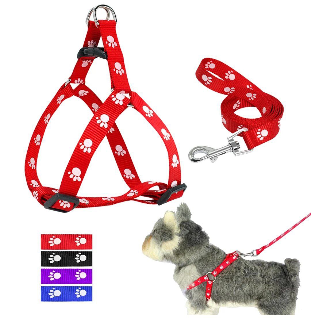 CUERDA PARA MASCOTAS 2.0 cm * 120cm
